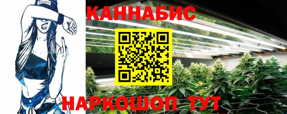 Конопля сатива  Вход с VPN  Каннабис Amnesia  Апрелевка 